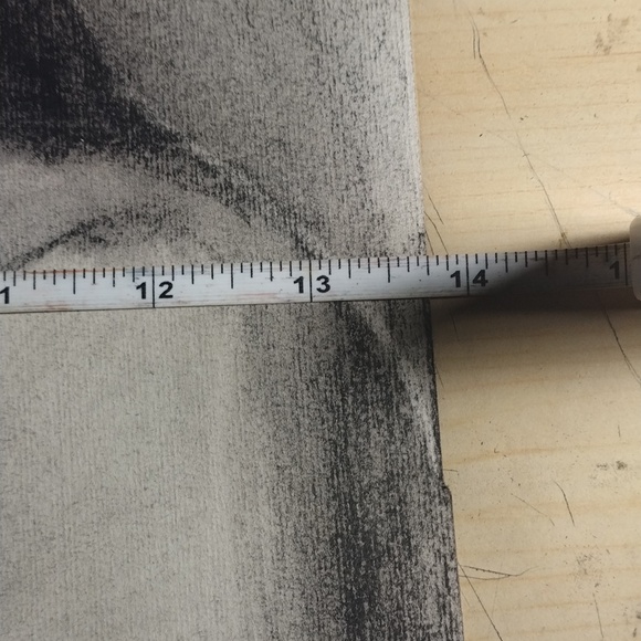 Native American portrait - Picture 3 of 3